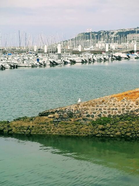 Port du Havre-Antifer, photo Google (Ruth Esperanza Roman)