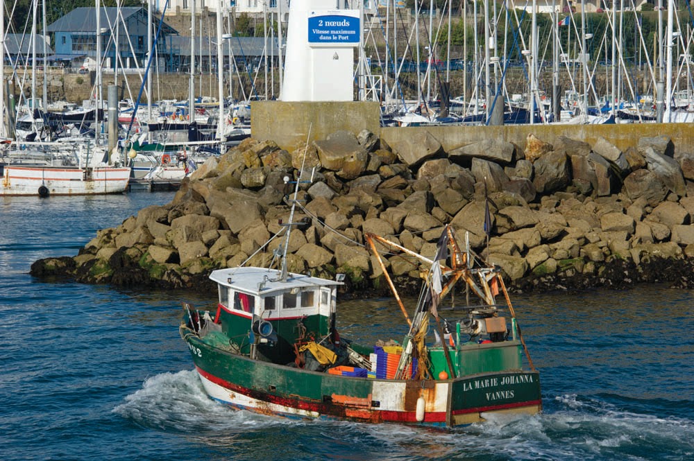 Port Haliguen, photo Google (Port Haliguen)