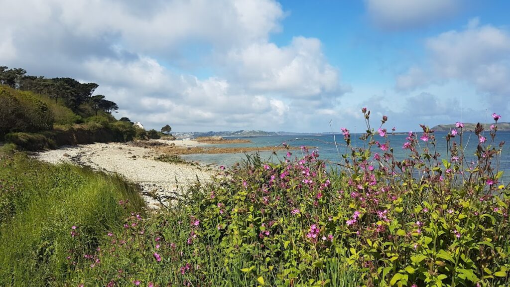 Port Le Goff, photo Google (Sebastien Morel)