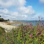 Port Le Goff, photo Google (Sebastien Morel)