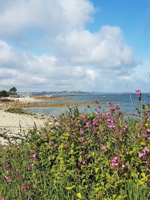 Port Le Goff, photo Google (Sebastien Morel)