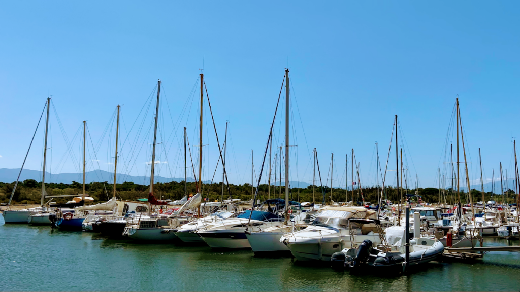 Port nature de Saint-Marie de la Mer, photo Google (Port Sainte Marie la Mer)