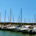 Port nature de Saint-Marie de la Mer, photo Google (Port Sainte Marie la Mer)