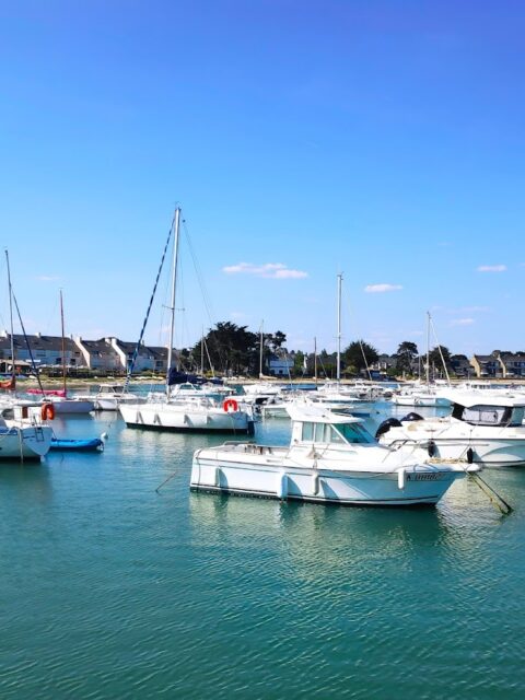 Port Saint-Jacques, photo Google (Pierre QUÉLARD)
