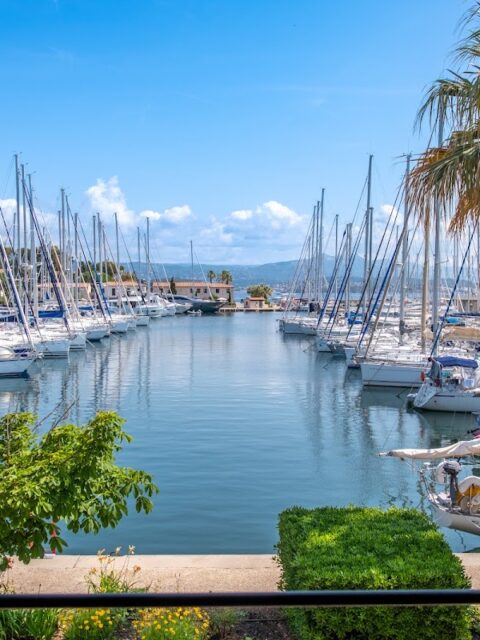 Port Saint-Pierre des Embiez, photo Google (Port des Embiez)