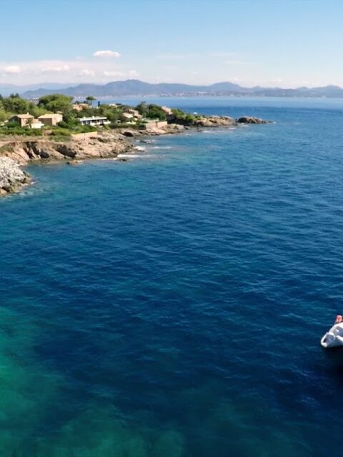 Port Tonic, photo Google (Port Tonic Art Center)