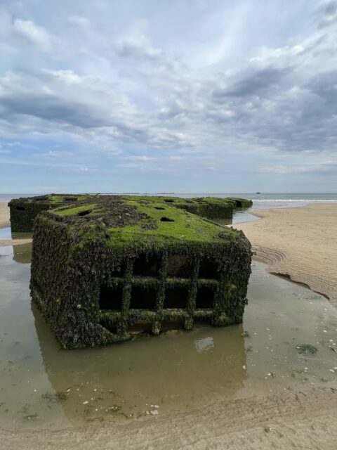 Port Winston, photo Google (Stephane Paye)