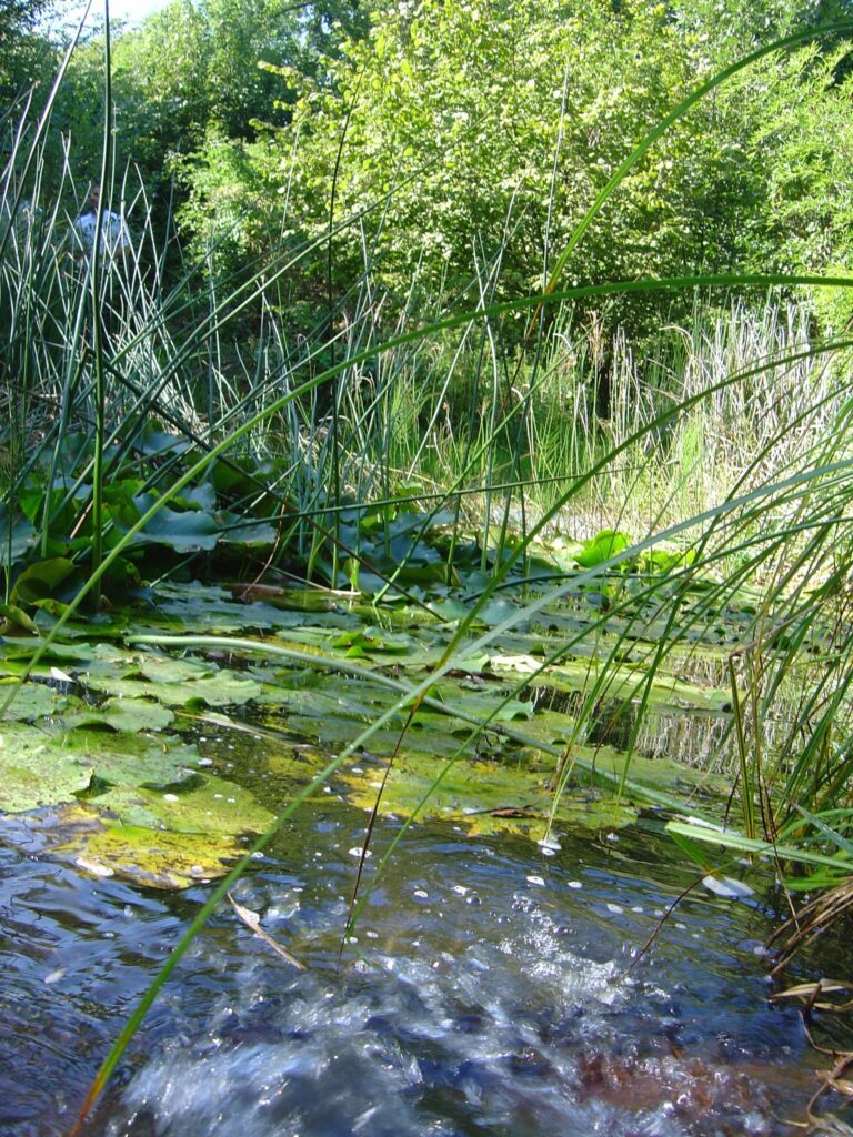 Sillery (commune de Port de Sillery)