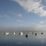 Union Nautique de Plobsheim UNAP, photo Google (UNION NAUTIQUE DE PLOBSHEIM - UNAP)
