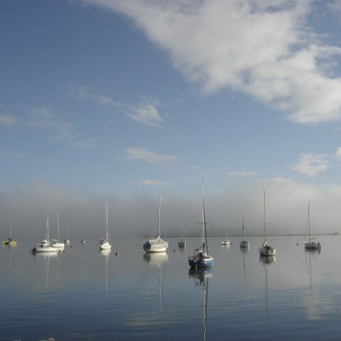 Union Nautique de Plobsheim UNAP, photo Google (UNION NAUTIQUE DE PLOBSHEIM - UNAP)