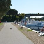 Port de Gallician, photo Google (Port de Gallician)