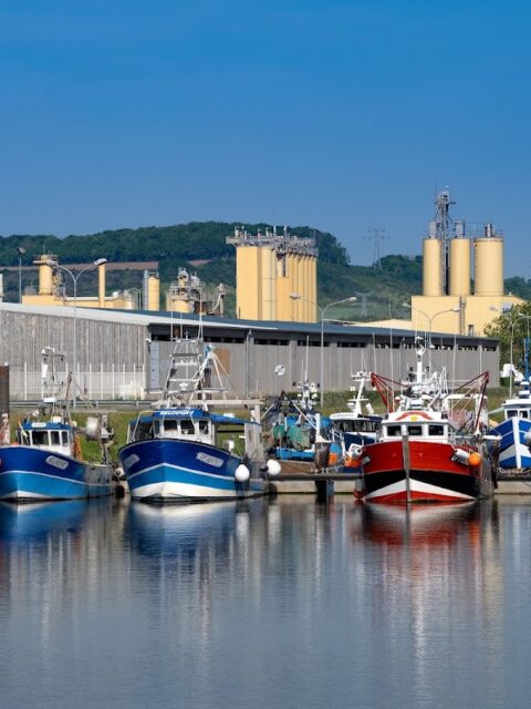 Port de plaisance du Tréport, photo Google (Guy B.)