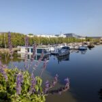 Port de plaisance Nancy Saint Georges, photo Google (Guido Oswald)