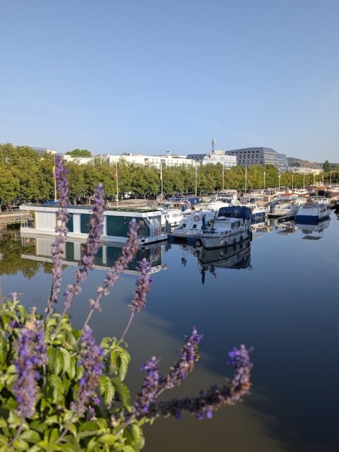 Port de plaisance Nancy Saint Georges, photo Google (Guido Oswald)