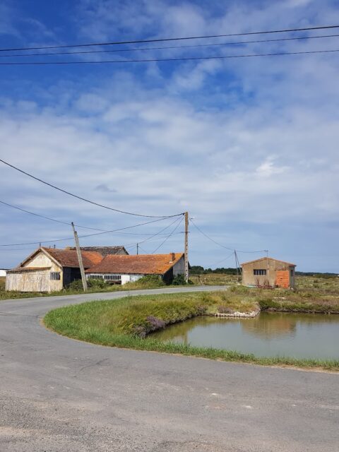 Chenal de Coux, Arvet - La Tremblade