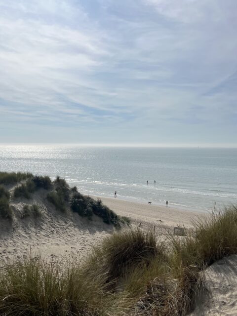 Port à échouage du Touquet : Baie de la Canche