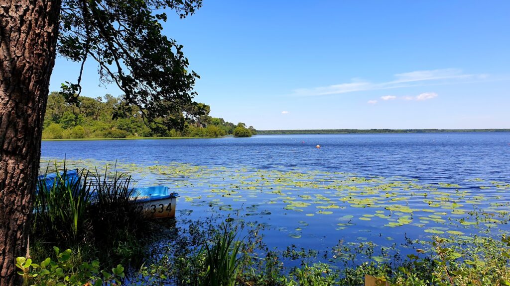 Port camping Aurilandes : Étang d'Aureilhan