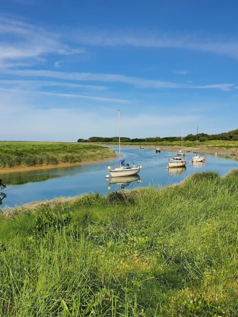 Port de la Madelon, Waben