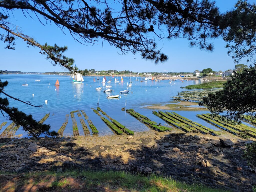 Port de Larmor Baden, Larmor-Baden