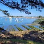 Port de Larmor Baden, Larmor-Baden