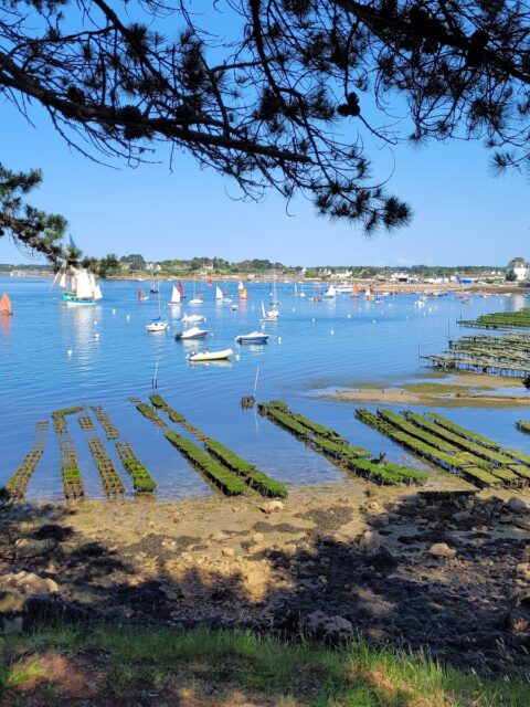 Port de Larmor Baden, Larmor-Baden