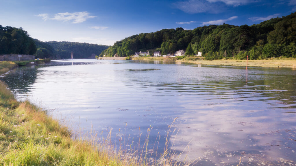 Port de Locquénolé : Bas de la rivière de Morlaix