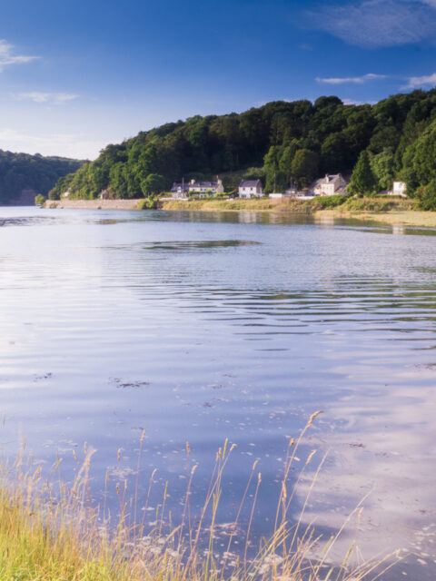 Port de Locquénolé : Bas de la rivière de Morlaix