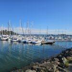 Port de Loctudy, Loctudy