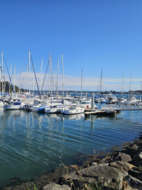 Port de Loctudy, Loctudy