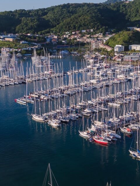 Port de Poirier : vue du Marina du Marin, port voisin