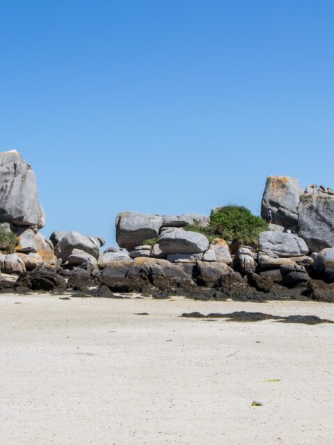 Port de Pontusval, Plounéour-Brignogan-Plage