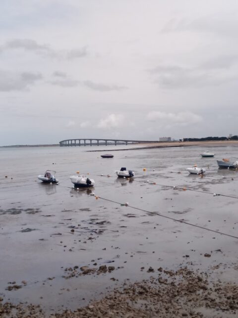 Port de Rivedoux, Rivedoux