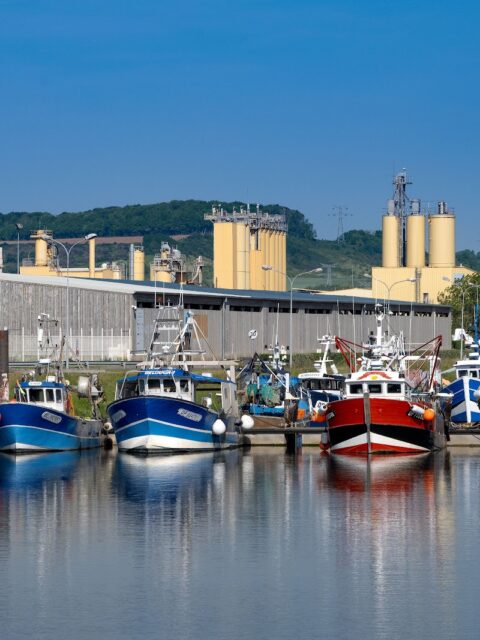 Port du Tréport, Le Tréport