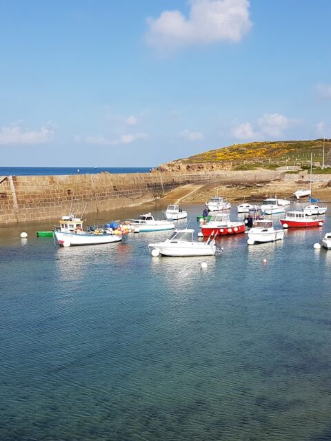 Port Lévi, Fermanville