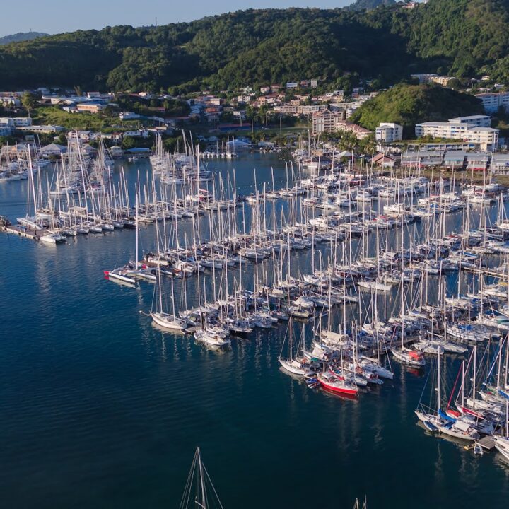 Ports de plaisance aux Antilles : Marina du Marin