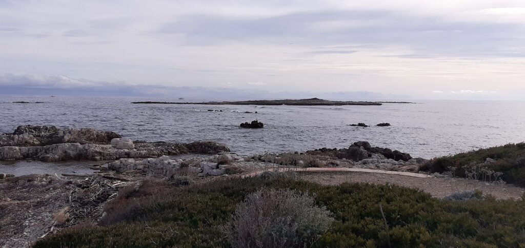 Mouillage îles de Lérins : îles de Lérins vu par un photographe sur Wikimedia Commons