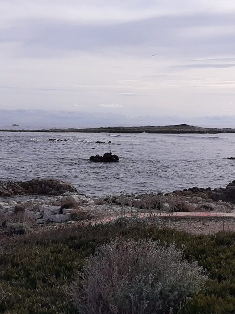 Mouillage îles de Lérins : îles de Lérins vu par un photographe sur Wikimedia Commons
